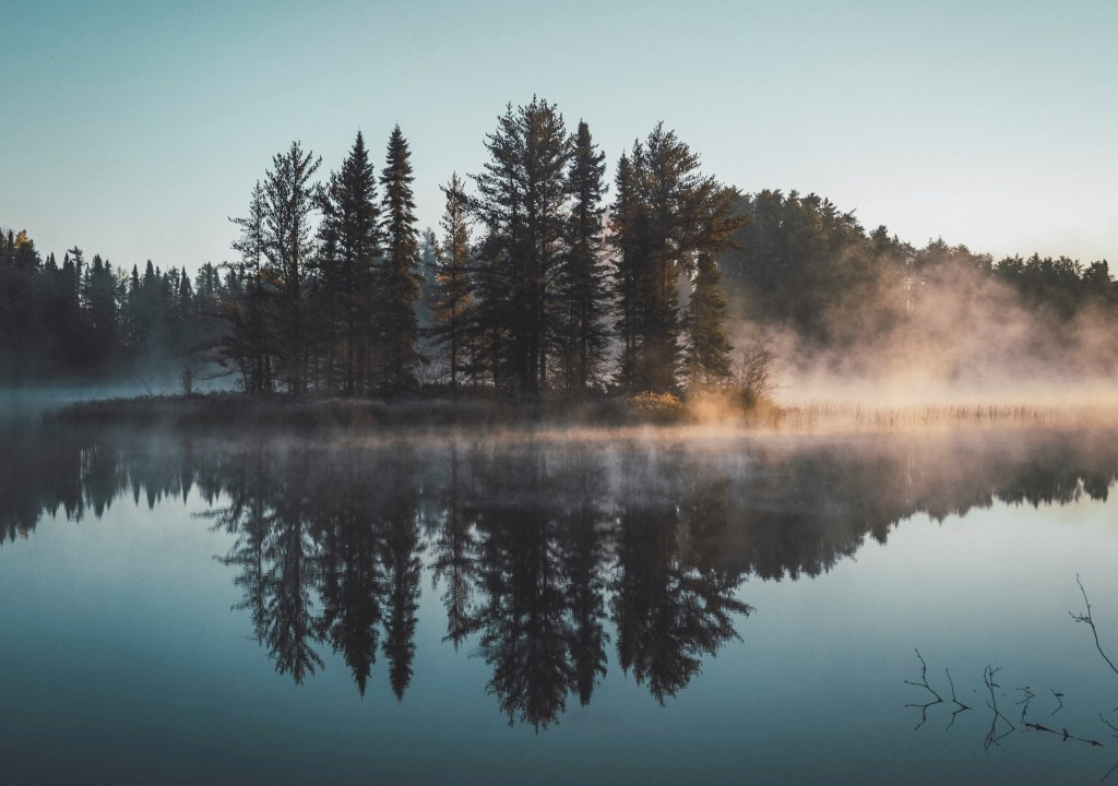 Trees reflected in a lake